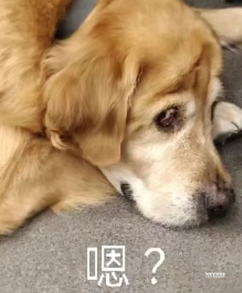 Windows 365发布!扔掉你的笔记本,在手《机》上就能运行Windows 11了